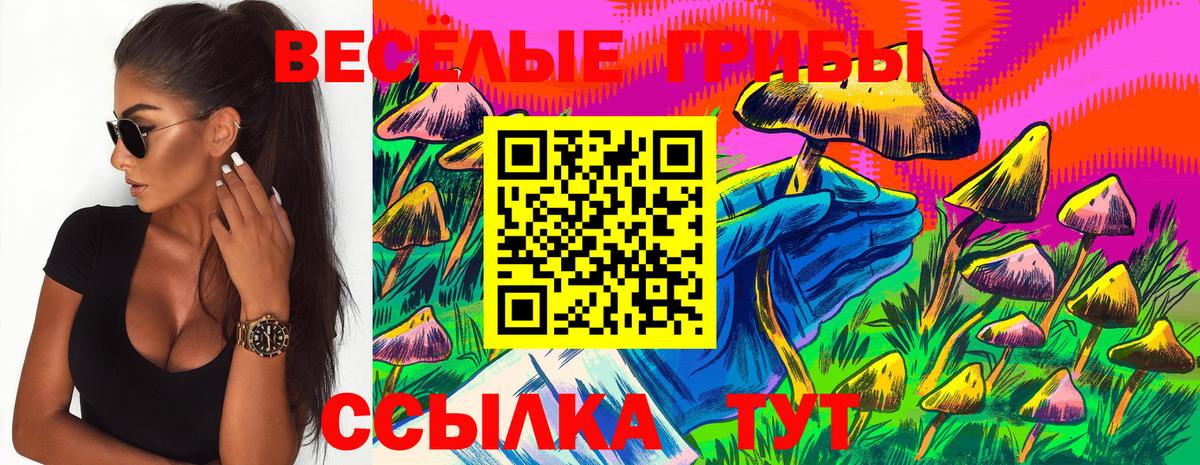 Волхов  Галлюциногенные грибы Cubensis  Вход с VPN 